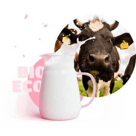 milk and a cow